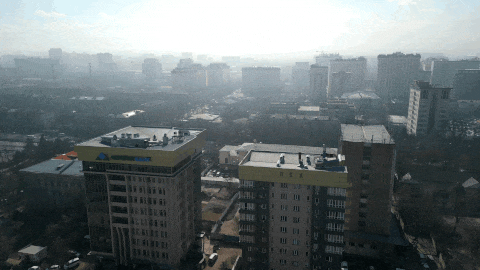 SpeedRamp Pro Ease-in